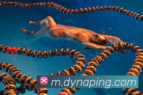 南宫28全站App
